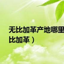 无比加革产地哪里（无比加革）