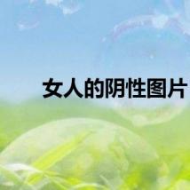 女人的阴性图片