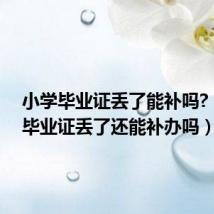 小学毕业证丢了能补吗?(小学毕业证丢了还能补办吗)