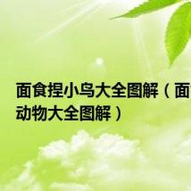 面食捏小鸟大全图解（面食捏小动物大全图解）