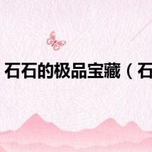 石石的极品宝藏（石石）