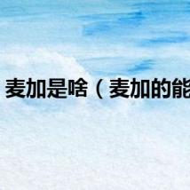 麦加是啥（麦加的能量）