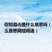 你知道dj是什么意思吗（dj是什么意思网络用语）