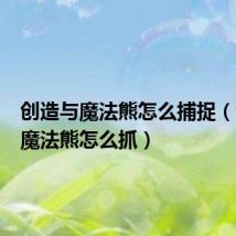 创造与魔法熊怎么捕捉(创造与魔法熊怎么抓)