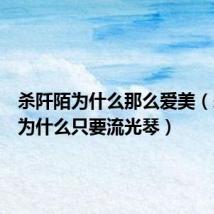 杀阡陌为什么那么爱美(杀阡陌为什么只要流光琴)