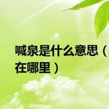 喊泉是什么意思（喊泉在哪里）
