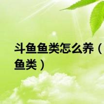 斗鱼鱼类怎么养（斗鱼鱼类）