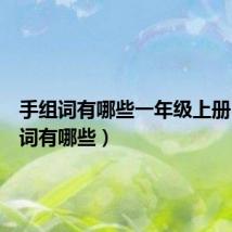 手组词有哪些一年级上册（手组词有哪些）