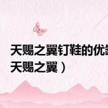 天赐之翼钉鞋的优缺点（天赐之翼）