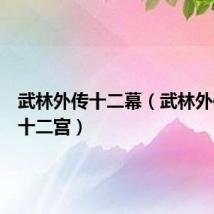 武林外传十二幕（武林外传黄金十二宫）