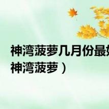 神湾菠萝几月份最好吃（神湾菠萝）