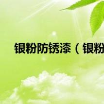 银粉防锈漆（银粉）