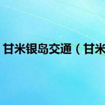 甘米银岛交通（甘米银）