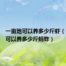 一亩地可以养多少斤虾（一亩地可以养多少斤蚂蚱）