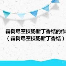 霜树尽空枝肠断丁香结的作者拼音（霜树尽空枝肠断丁香结）