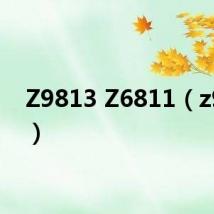Z9813 Z6811（z9813）