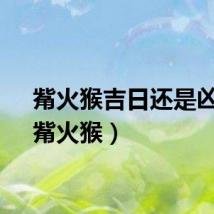 觜火猴吉日还是凶日（觜火猴）