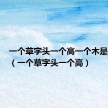 一个草字头一个高一个木是什么字（一个草字头一个高）