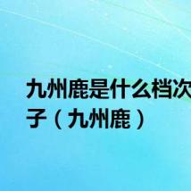 九州鹿是什么档次的牌子（九州鹿）