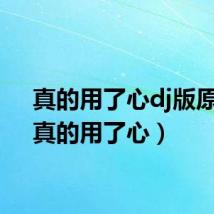 真的用了心dj版原唱（真的用了心）