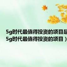 5g时代最值得投资的项目是什么（5g时代最值得投资的项目）