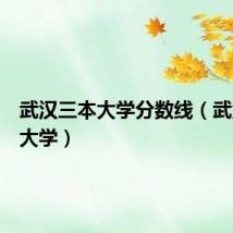 武汉三本大学分数线（武汉三本大学）