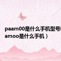 paam00是什么手机型号吗(paamoo是什么手机)