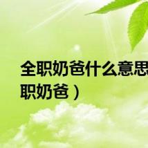 全职奶爸什么意思（全职奶爸）