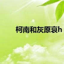 柯南和灰原哀h