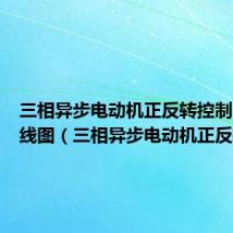 三相异步电动机正反转控制电路接线图(三相异步电动机正反转)