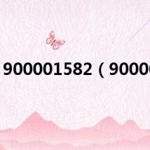 900001582（900001）