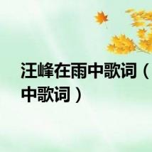 汪峰在雨中歌词（在雨中歌词）