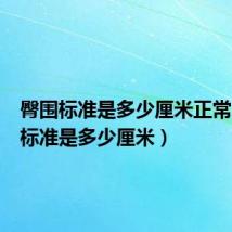 臀围标准是多少厘米正常(臀围标准是多少厘米)