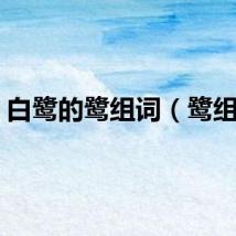 白鹭的鹭组词（鹭组词）