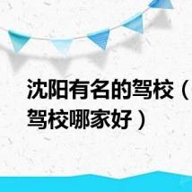 沈阳有名的驾校（沈阳驾校哪家好）