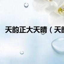 天韵正大天晴（天韵）