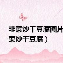 韭菜炒干豆腐图片（韭菜炒干豆腐）