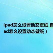 ipad怎么设置动态壁纸 自制（ipad怎么设置动态壁纸）