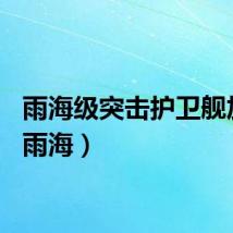 雨海级突击护卫舰加点（雨海）