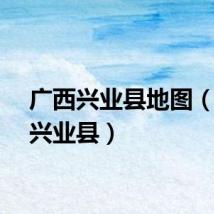 广西兴业县地图（广西兴业县）