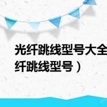光纤跳线型号大全（光纤跳线型号）