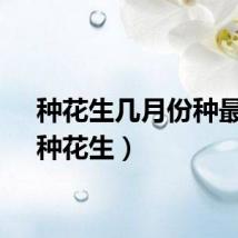 种花生几月份种最好（种花生）