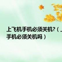 上飞机手机必须关机?（上飞机手机必须关机吗）