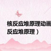 核反应堆原理动画（核反应堆原理）