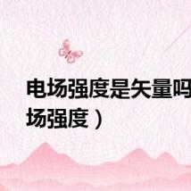 电场强度是矢量吗（电场强度）