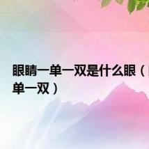 眼睛一单一双是什么眼（眼睛一单一双）