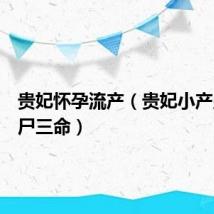贵妃怀孕流产（贵妃小产皇后一尸三命）