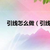 引线怎么做（引线）