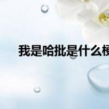 我是哈批是什么梗