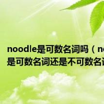 noodle是可数名词吗（noodles是可数名词还是不可数名词）